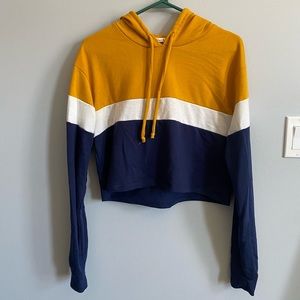 Colorblock cropped sweatshirt